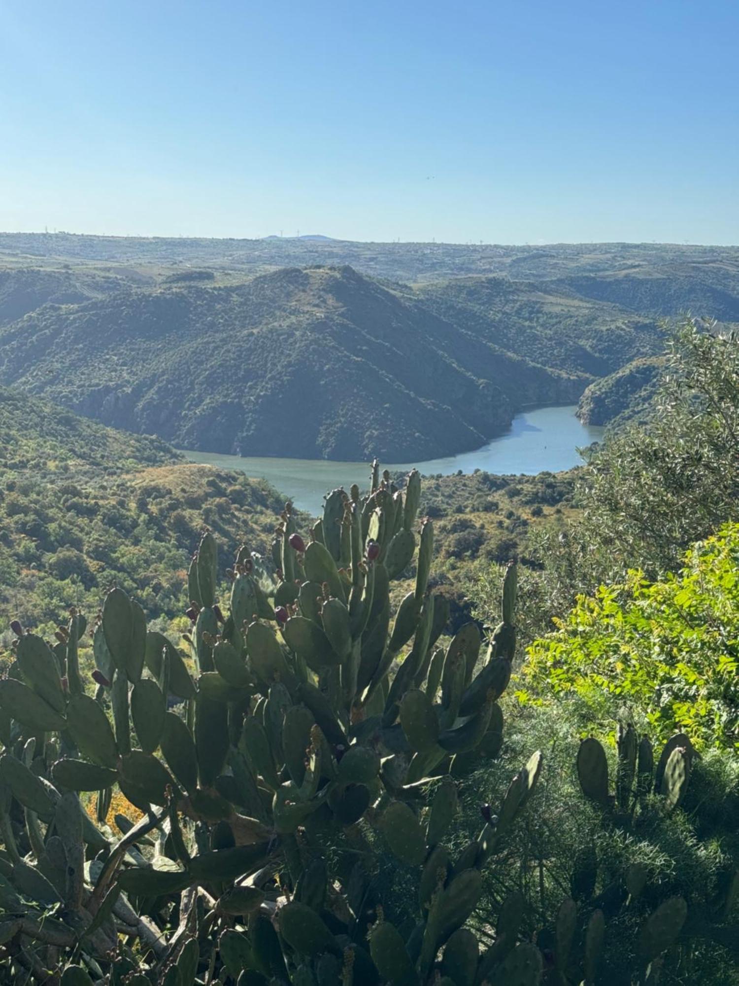 La Casita De Los Arribes Fermoselle Dış mekan fotoğraf